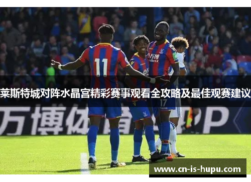 莱斯特城对阵水晶宫精彩赛事观看全攻略及最佳观赛建议