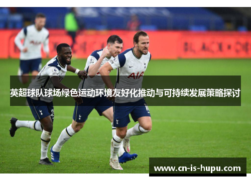 英超球队球场绿色运动环境友好化推动与可持续发展策略探讨 英超球队球场绿色运动环境友好化推动与可持续发展策略探讨