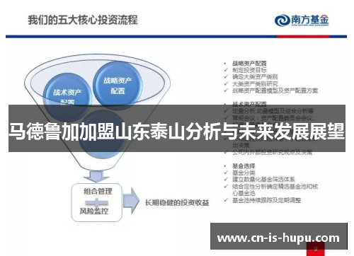 马德鲁加加盟山东泰山分析与未来发展展望